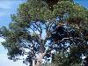 [thumbnail of Picture 4]
