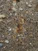 [thumbnail of Picture 4]