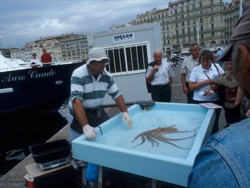 ImageImage628.web.jpg