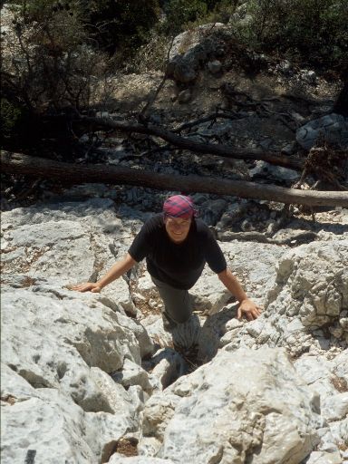 ImageImage673.web.jpg