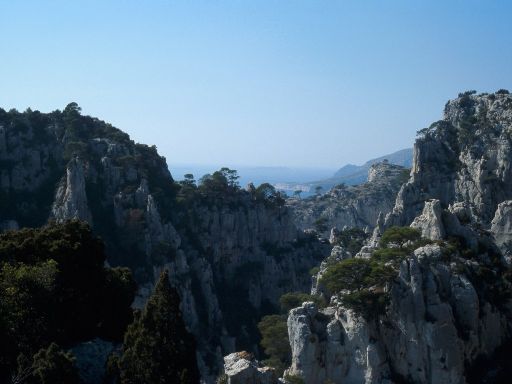 ImageImage678.web.jpg