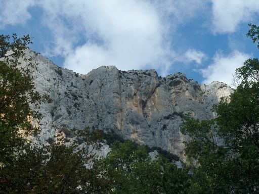 ImageImage688.web.jpg