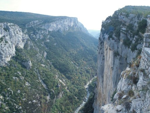 ImageImage693.web.jpg