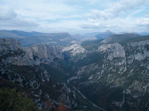 ImageImage695.web.jpg