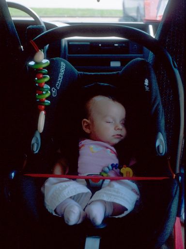 ImageImage1056.web.jpg