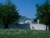 [thumbnail of Picture 7]