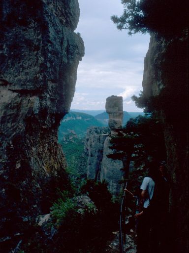 ImageImage1092.web.jpg