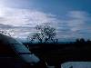 [thumbnail of Picture 36]
