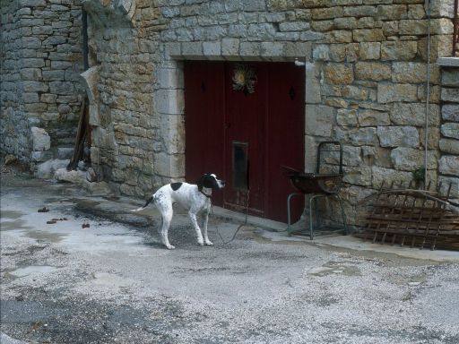 ImageImage1101.web.jpg