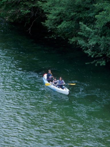ImageImage1102.web.jpg
