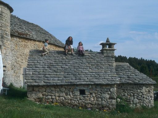 ImageImage1108.web.jpg