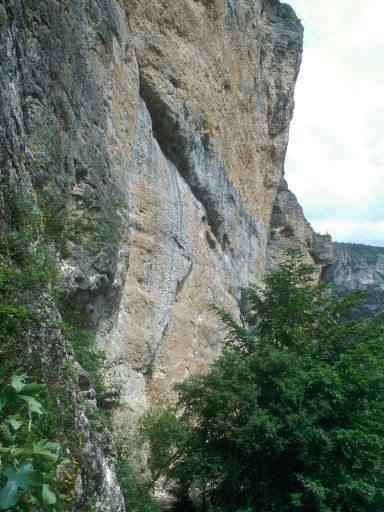 ImageImage1110.web.jpg
