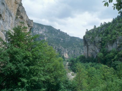 ImageImage1111.web.jpg