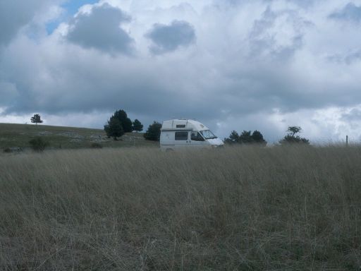 ImageImage1115.web.jpg
