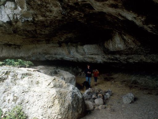 ImageImage1122.web.jpg
