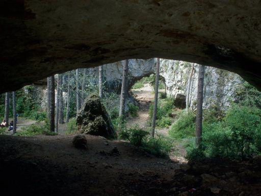 ImageImage1126.web.jpg