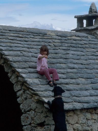 ImageImage1131.web.jpg