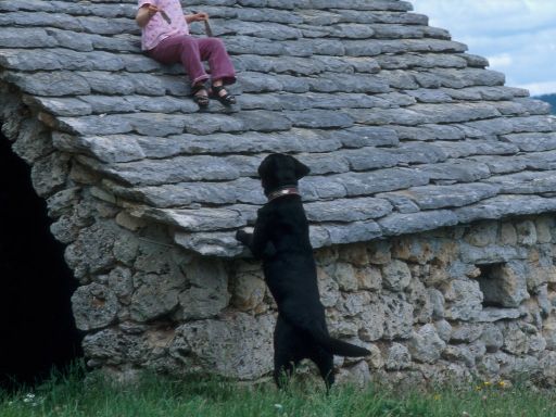 ImageImage1134.web.jpg