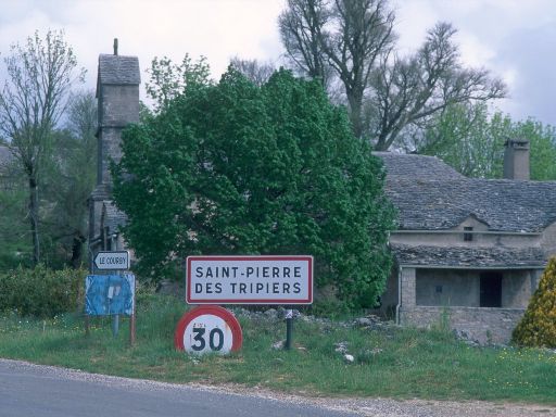 ImageImage1138.web.jpg