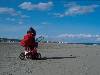 [thumbnail of Picture 12]