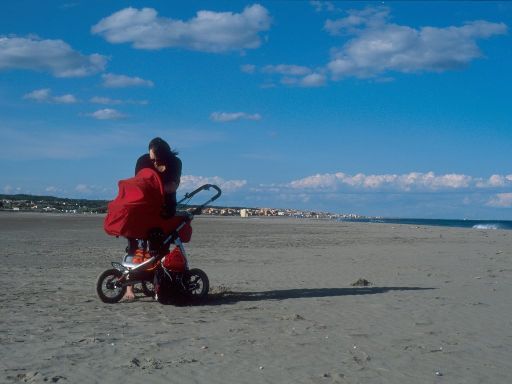 ImageImage1146.web.jpg