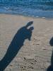 [thumbnail of Picture 16]