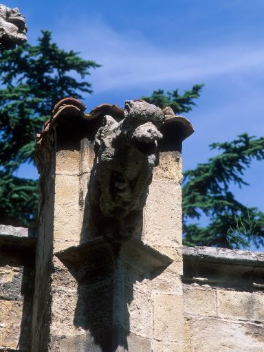 ImageImage1154.web.jpg
