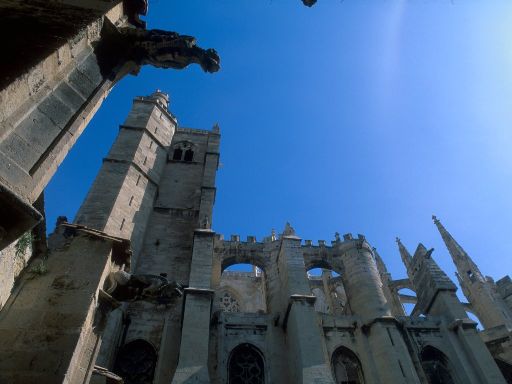 ImageImage1156.web.jpg