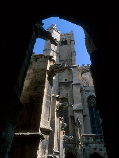 ImageImage1157.web.jpg
