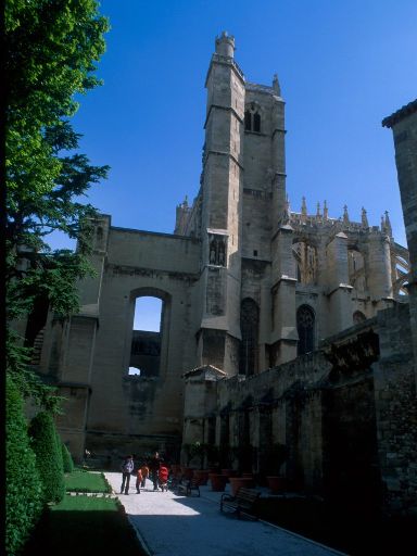 ImageImage1158.web.jpg