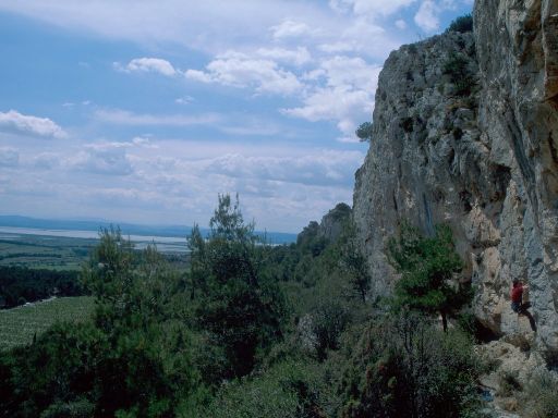 ImageImage1166.web.jpg