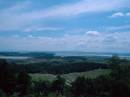 ImageImage1167.web.jpg