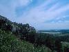 [thumbnail of Picture 34]