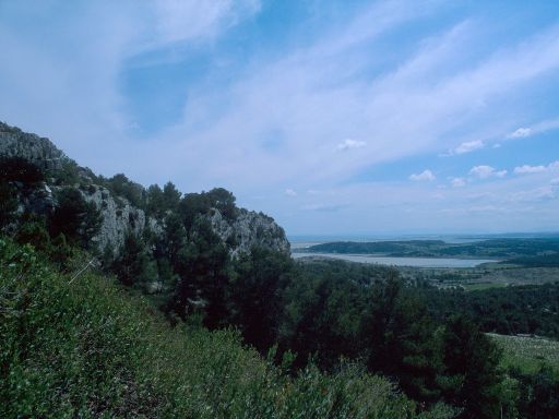 ImageImage1168.web.jpg