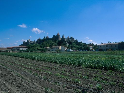 ImageImage1198.web.jpg