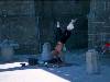 [thumbnail of Picture 2]