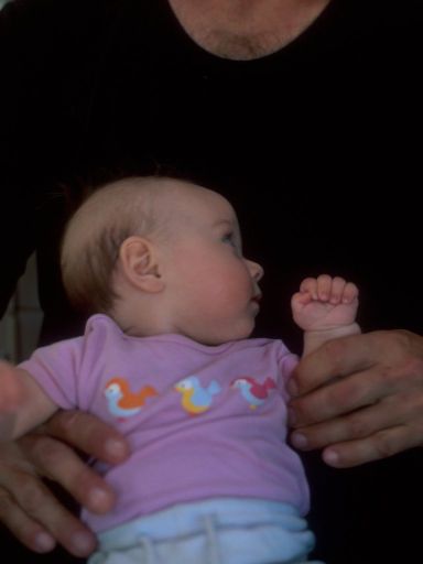 ImageImage1205.web.jpg