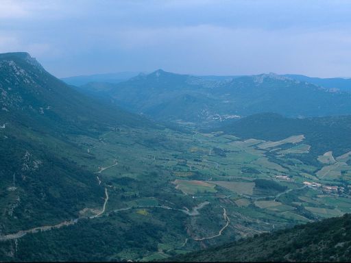 ImageImage1208.web.jpg