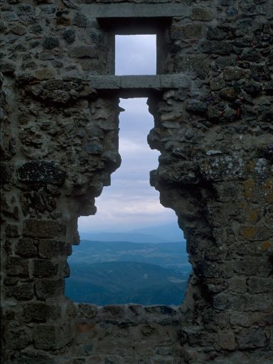 ImageImage1211.web.jpg