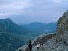 [thumbnail of Picture 15]