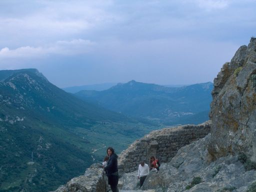 ImageImage1229.web.jpg