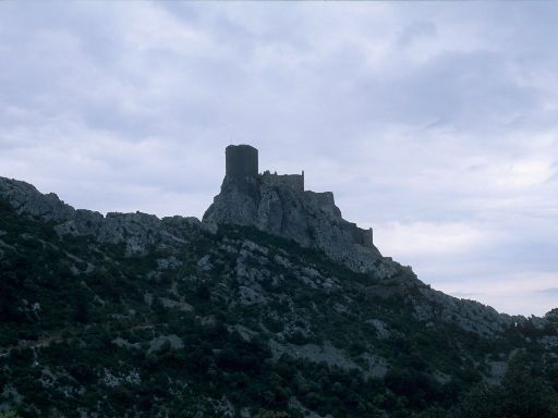 ImageImage1230.web.jpg