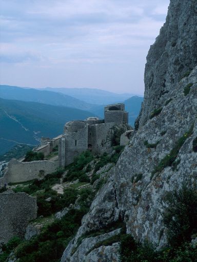 ImageImage1233.web.jpg