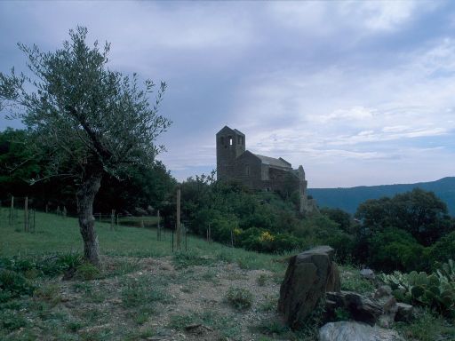 ImageImage1248.web.jpg