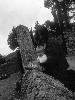 [thumbnail of Picture 1]