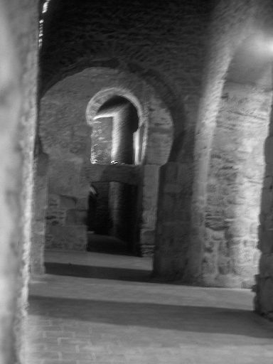 ImageImage1295.web.jpg