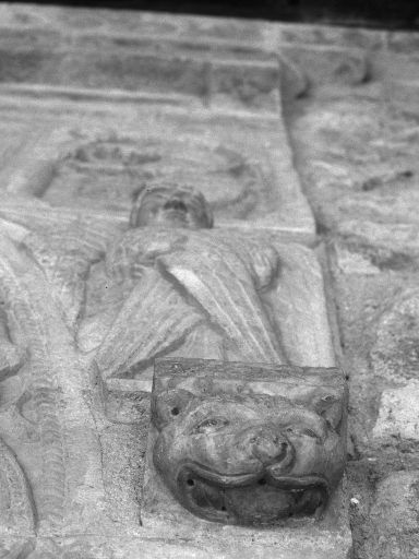 ImageImage1298.web.jpg