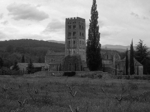 ImageImage1300.web.jpg