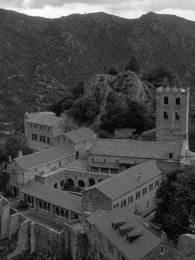 ImageImage1303.web.jpg
