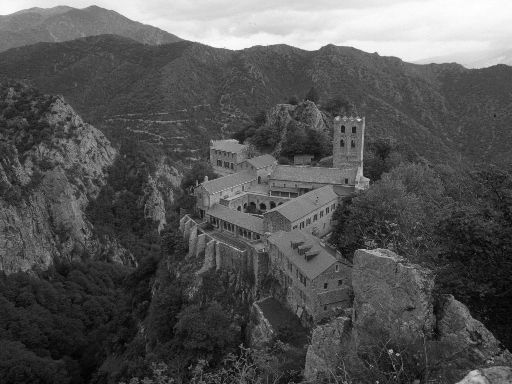 ImageImage1305.web.jpg